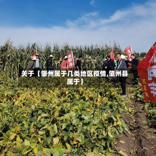 关于【肇州属于几类地区疫情,肇州县属于】