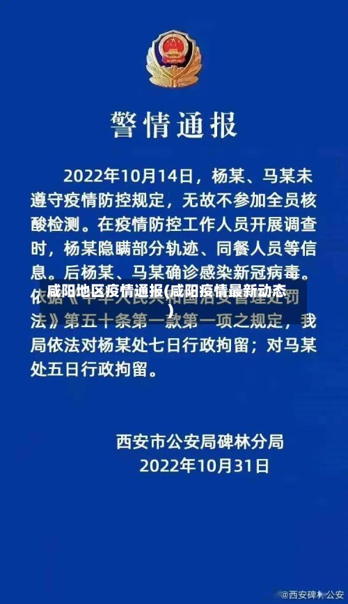咸阳地区疫情通报(咸阳疫情最新动态)-第3张图片