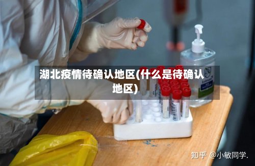 湖北疫情待确认地区(什么是待确认地区)-第3张图片