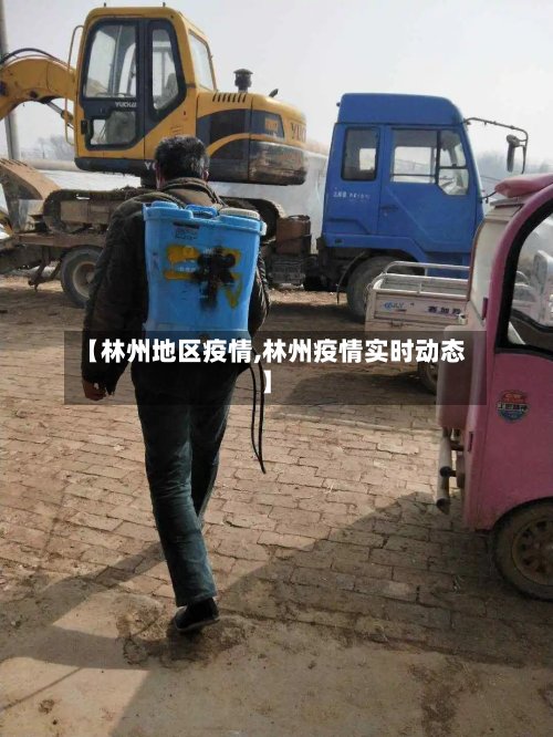 【林州地区疫情,林州疫情实时动态】