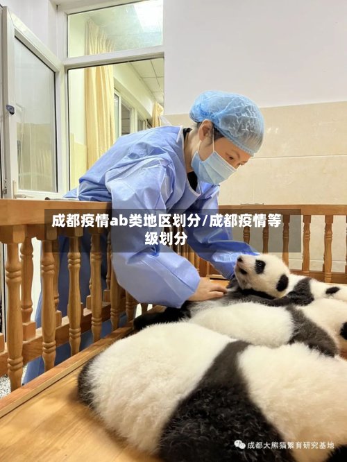 成都疫情ab类地区划分/成都疫情等级划分-第3张图片