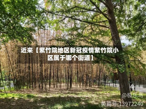 近来【紫竹院地区新冠疫情紫竹院小区属于哪个街道】