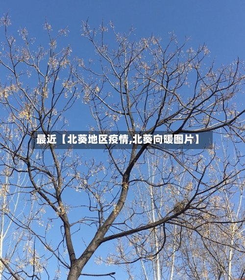 最近【北葵地区疫情,北葵向暖图片】-第2张图片