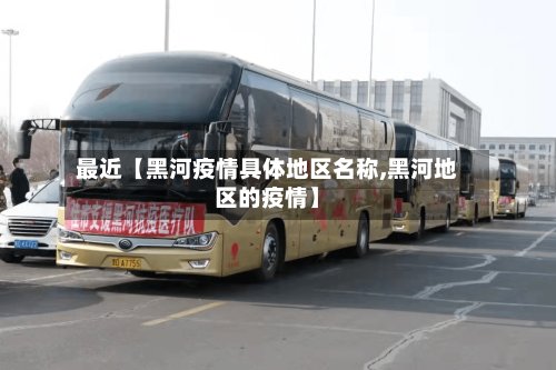 最近【黑河疫情具体地区名称,黑河地区的疫情】-第2张图片