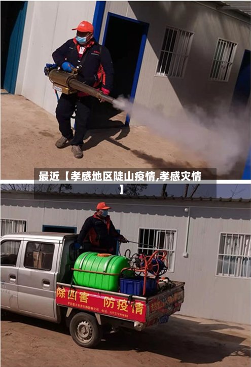 最近【孝感地区陡山疫情,孝感灾情】-第2张图片
