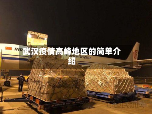 武汉疫情高峰地区的简单介绍