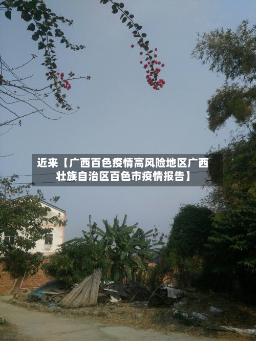 近来【广西百色疫情高风险地区广西壮族自治区百色市疫情报告】-第2张图片