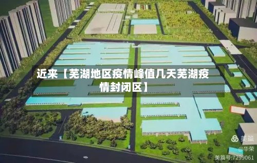 近来【芜湖地区疫情峰值几天芜湖疫情封闭区】-第2张图片
