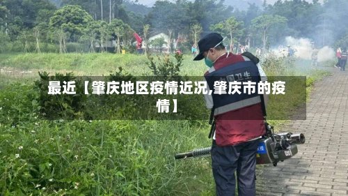 最近【肇庆地区疫情近况,肇庆市的疫情】-第3张图片