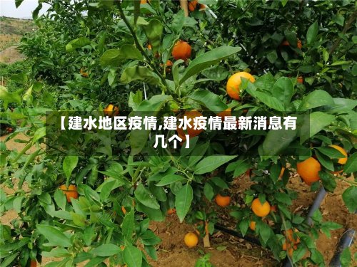 【建水地区疫情,建水疫情最新消息有几个】