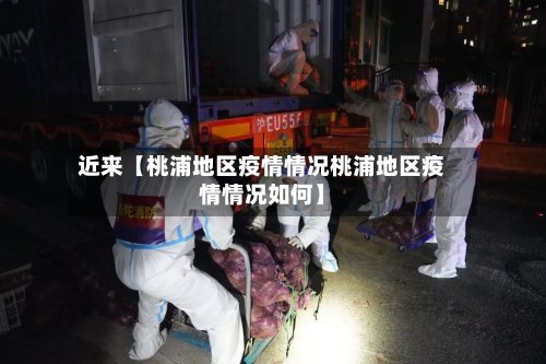 近来【桃浦地区疫情情况桃浦地区疫情情况如何】-第2张图片