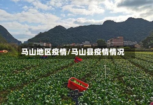 马山地区疫情/马山县疫情情况