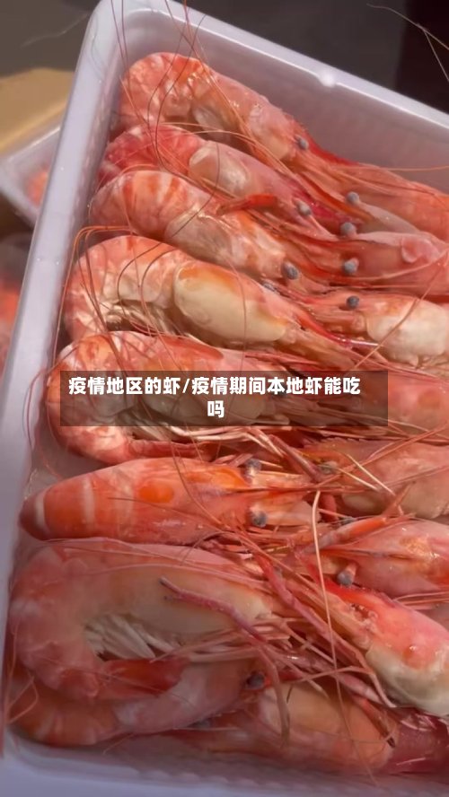 疫情地区的虾/疫情期间本地虾能吃吗-第3张图片
