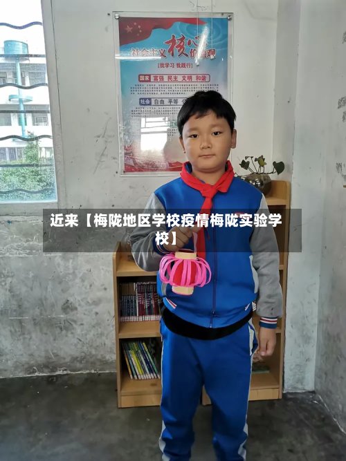 近来【梅陇地区学校疫情梅陇实验学校】-第2张图片