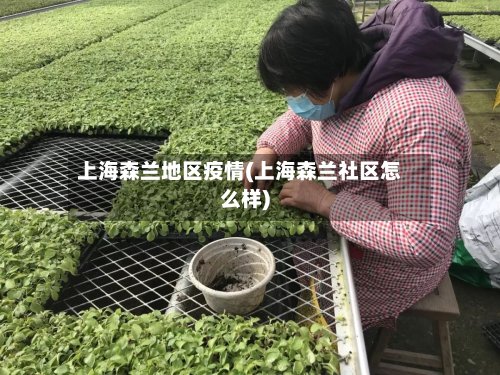 上海森兰地区疫情(上海森兰社区怎么样)