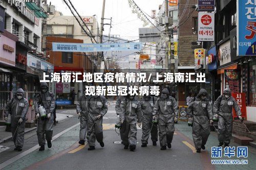 上海南汇地区疫情情况/上海南汇出现新型冠状病毒-第3张图片