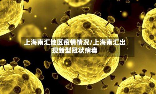 上海南汇地区疫情情况/上海南汇出现新型冠状病毒-第2张图片