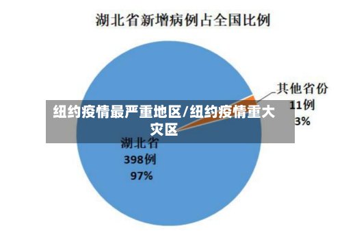 纽约疫情最严重地区/纽约疫情重大灾区