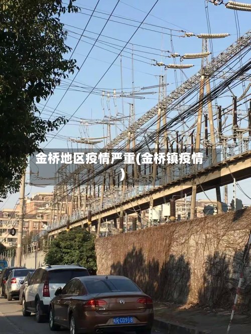 金桥地区疫情严重(金桥镇疫情)