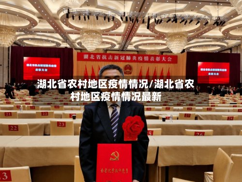 湖北省农村地区疫情情况/湖北省农村地区疫情情况最新-第3张图片