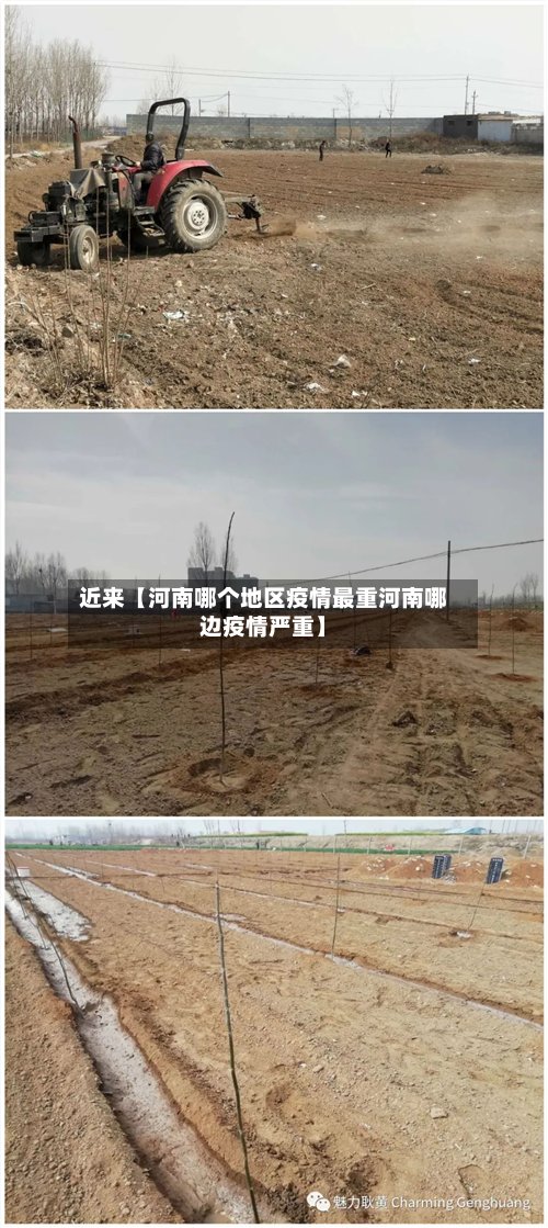 近来【河南哪个地区疫情最重河南哪边疫情严重】-第2张图片