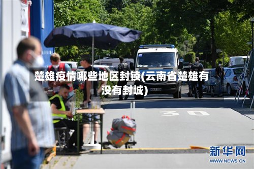 楚雄疫情哪些地区封锁(云南省楚雄有没有封城)-第3张图片