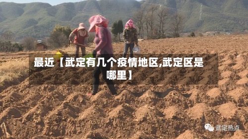 最近【武定有几个疫情地区,武定区是哪里】