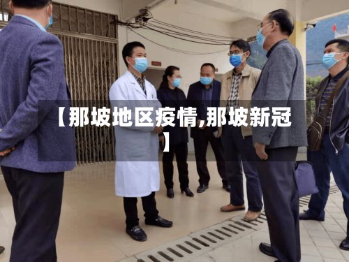【那坡地区疫情,那坡新冠】-第3张图片
