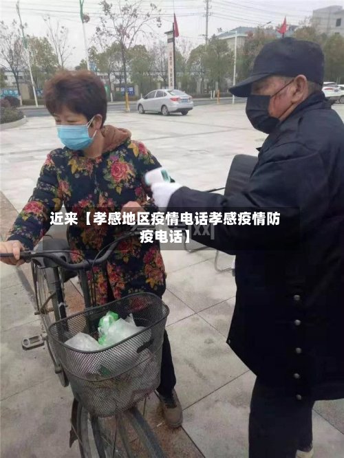 近来【孝感地区疫情电话孝感疫情防疫电话】-第3张图片
