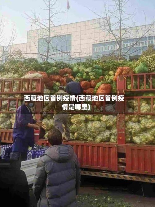 西藏地区首例疫情(西藏地区首例疫情是哪里)