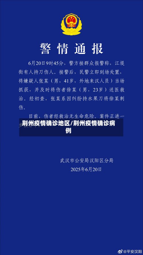 荆州疫情确诊地区/荆州疫情确诊病例-第3张图片