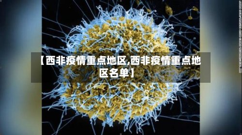 【西非疫情重点地区,西非疫情重点地区名单】-第2张图片