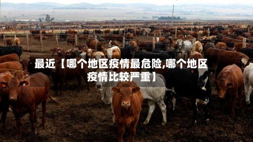 最近【哪个地区疫情最危险,哪个地区疫情比较严重】-第2张图片