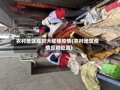 农村地区应对大规模疫情(农村地区疫情应对处置)-第3张图片
