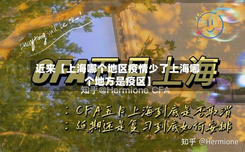 近来【上海哪个地区疫情少了上海哪个地方是疫区】