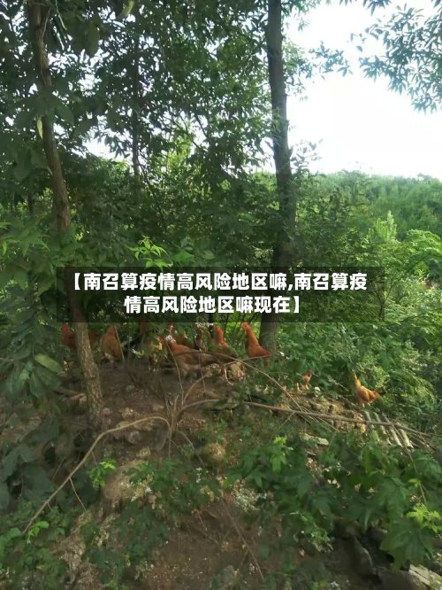 【南召算疫情高风险地区嘛,南召算疫情高风险地区嘛现在】-第3张图片