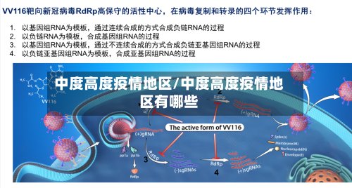 中度高度疫情地区/中度高度疫情地区有哪些