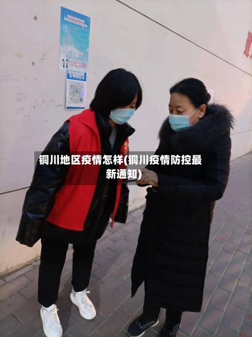 铜川地区疫情怎样(铜川疫情防控最新通知)-第2张图片