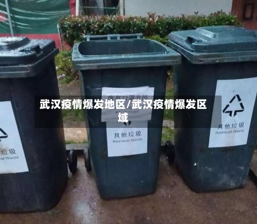 武汉疫情爆发地区/武汉疫情爆发区域-第3张图片