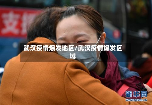武汉疫情爆发地区/武汉疫情爆发区域