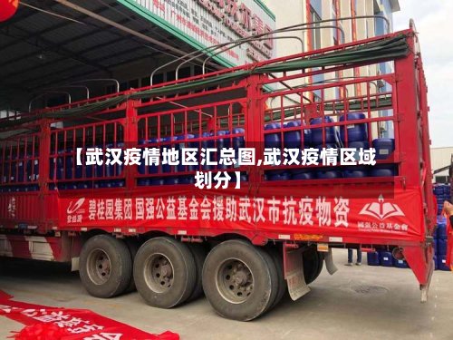 【武汉疫情地区汇总图,武汉疫情区域划分】