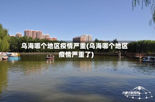 乌海哪个地区疫情严重(乌海哪个地区疫情严重了)-第2张图片