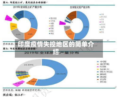 印度疫情失控地区的简单介绍