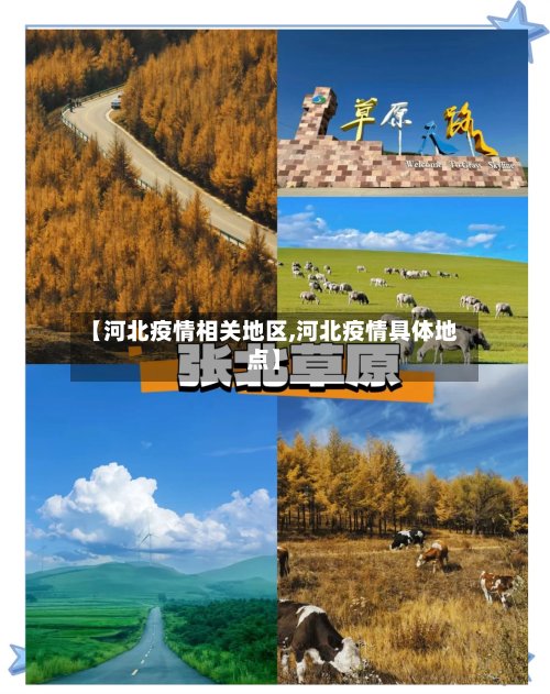 【河北疫情相关地区,河北疫情具体地点】-第2张图片