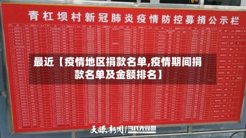 最近【疫情地区捐款名单,疫情期间捐款名单及金额排名】-第2张图片