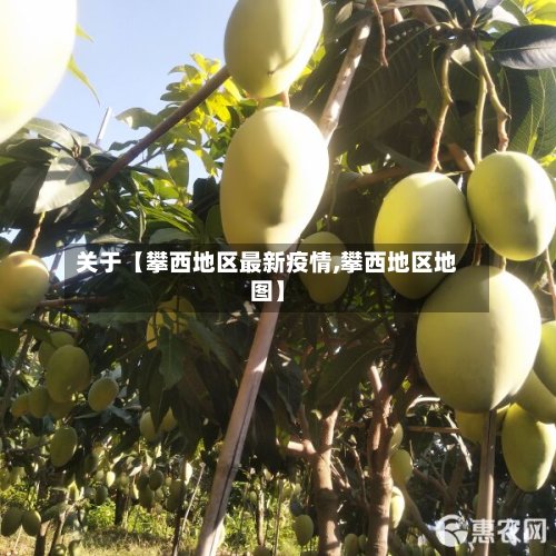 关于【攀西地区最新疫情,攀西地区地图】