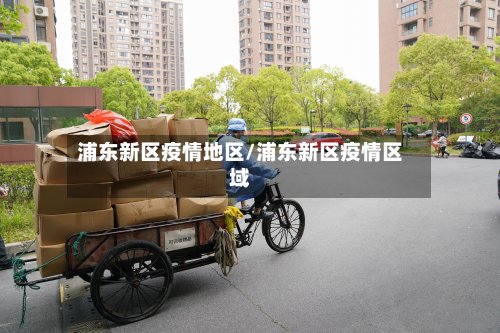 浦东新区疫情地区/浦东新区疫情区域