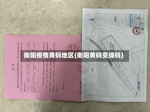 衡阳疫情黄码地区(衡阳黄码变绿码)-第2张图片