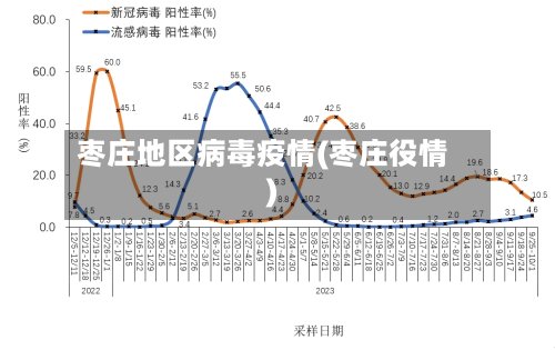 枣庄地区病毒疫情(枣庄役情)-第2张图片