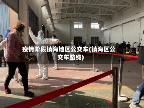 疫情阶段镇海地区公交车(镇海区公交车路线)